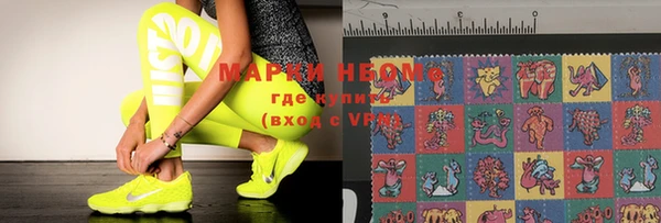 прущие грибы Чердынь