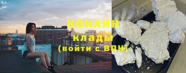 прущие грибы Чердынь