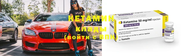 прущие грибы Чердынь