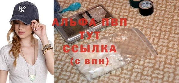прущие грибы Чердынь