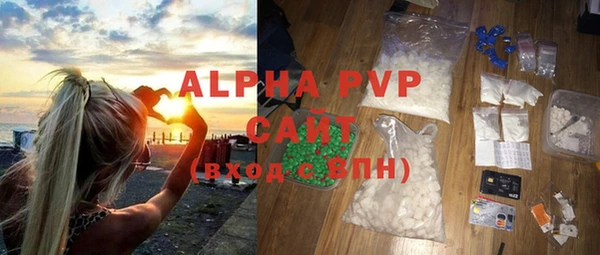 прущие грибы Чердынь