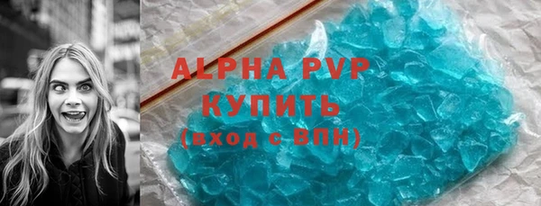 прущие грибы Чердынь
