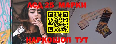 прущие грибы Обнинск