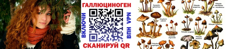 Псилоцибиновые грибы мухоморы  hydra вход  Биробиджан 