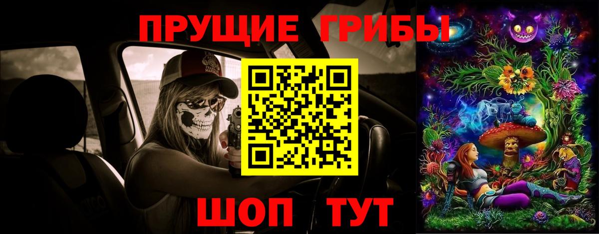 Псилоцибиновые грибы Psilocybine cubensis Биробиджан