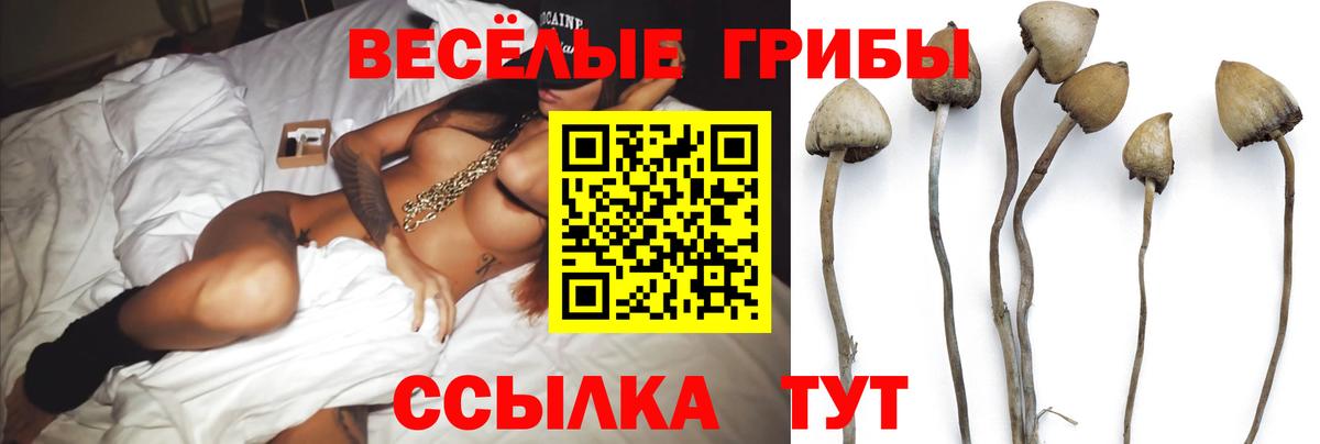 Биробиджан  Псилоцибиновые грибы GOLDEN TEACHER  Вход с VPN 